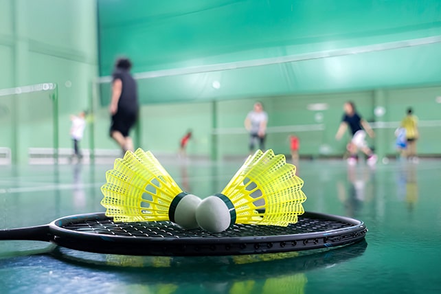 Badminton Court